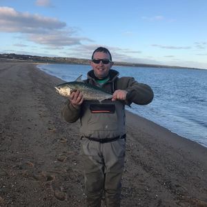 Meet your Posher, Stephen